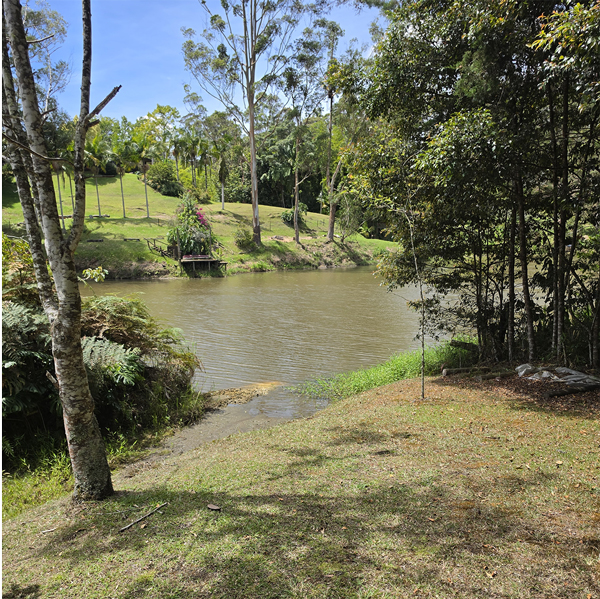 acceso-al-lago-kayak-picnic-aire-libre