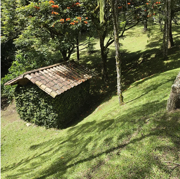 ameinades-de-la-finca