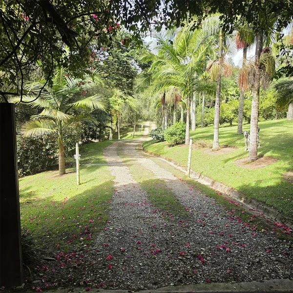 el-camino-hacia-la-tranquilidad-y-el-confort