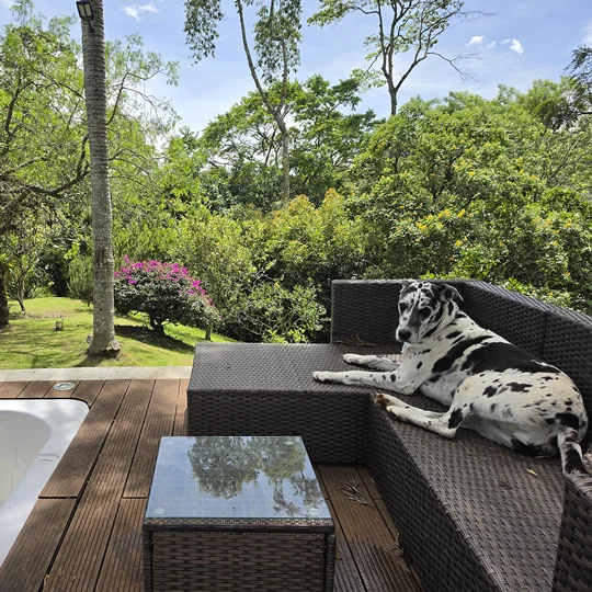 espacio-social-con-mascota-de-la-finca-la-chamiza