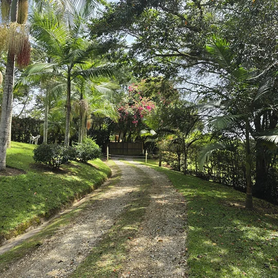 sendero-finca-la-chamiza