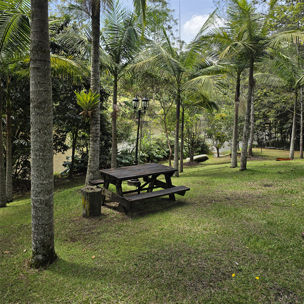 zonas-de-esparcimiento-picnic-actiidades-al-aire-libre